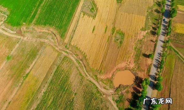 北方地区农田类型,北方农田多为什么