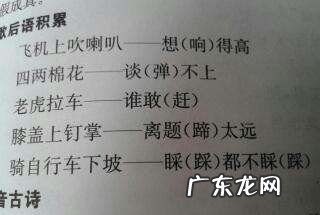 牙和齿的区别,阖的详细解释