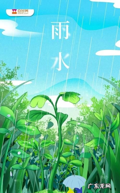 雨水可以喝,雨水可以喝