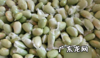 毛豆米可以放冰箱冷冻吗,毛豆米的储藏方法适合放在保鲜还是冷冻