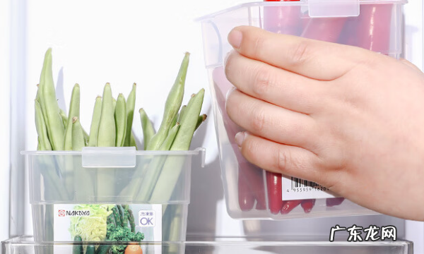 四季豆吃不完怎么存放,四季豆保存最佳方法