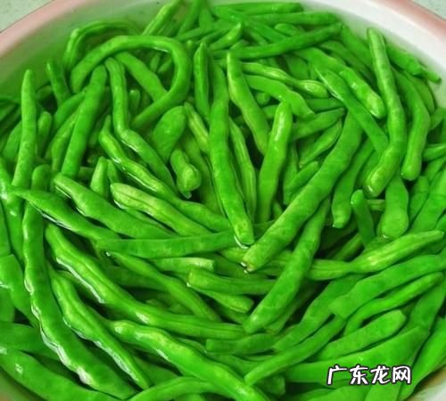 四季豆吃不完怎么存放,四季豆保存最佳方法