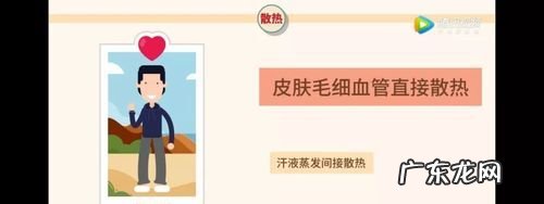 人体散热的方式有哪四种,人体散热的方式有哪四种医学