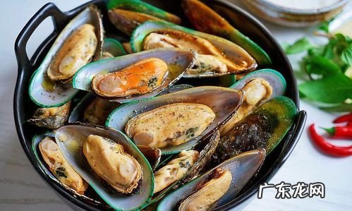 海鲜贝壳算什么垃圾,壳类海鲜是属于什么垃圾分类