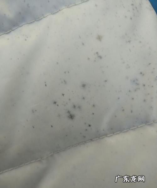 衣服出汗长霉斑怎么洗,流汗衣服发霉怎么洗掉霉斑