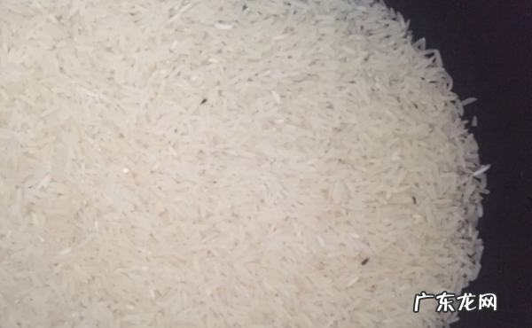 米里有黑虫子能吃,大米长了黑色的虫子还能吃