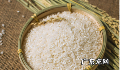 米里有黑虫子能吃,大米长了黑色的虫子还能吃