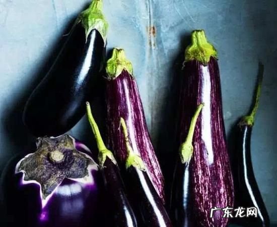 茄子是什么形状的表面是什么样的,茄子是什么形状的