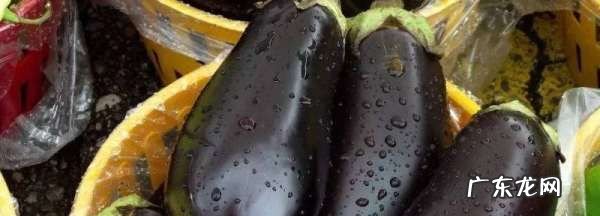 茄子是什么形状的表面是什么样的,茄子是什么形状的