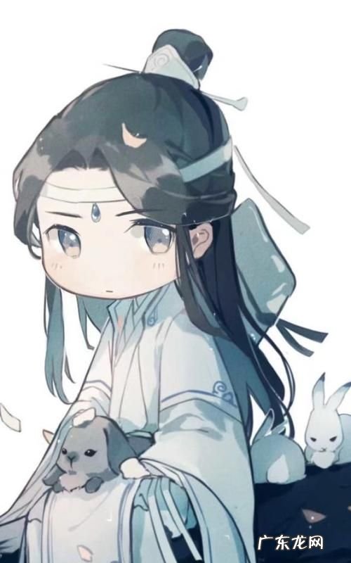 wifi和汪叽是什么意思,汪叽兔和羡羡兔
