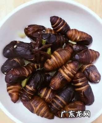 蝉蛹得煮多长时间,蚕蛹清水煮煮多长时间能熟