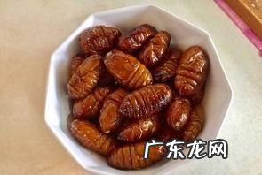 蝉蛹得煮多长时间,蚕蛹清水煮煮多长时间能熟