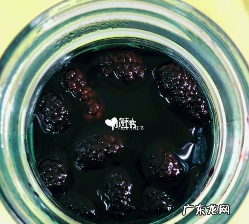 槡果泡酒最长时间适合多久,桑葚泡白酒的制作方法