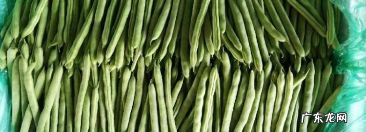 四季豆怎样长期保存,怎样可以把四季豆保存几个月