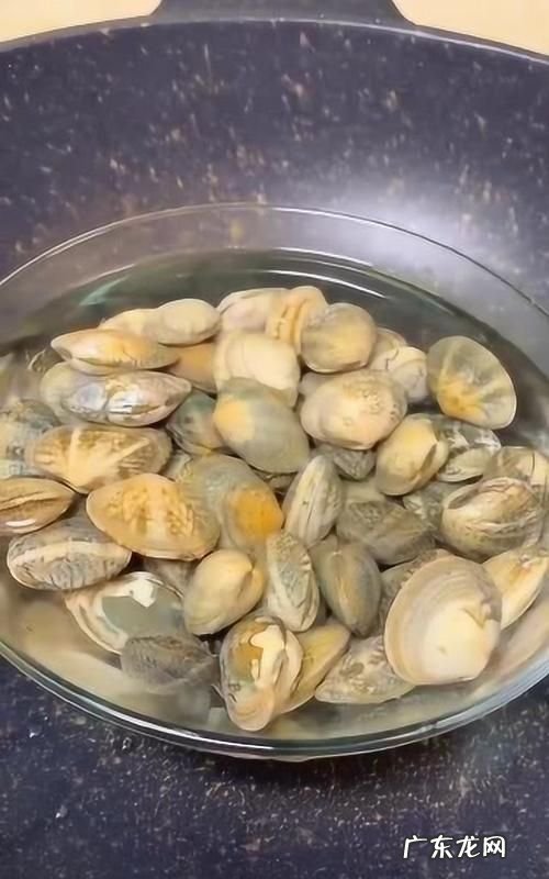 花甲怎么判断吐沙结束,花甲养多久可以吐干净