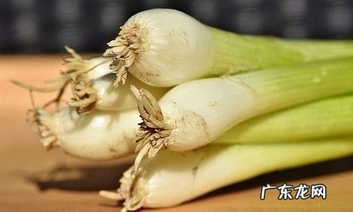 茼蒿菜怎么做好吃,茼蒿怎么做最好吃了