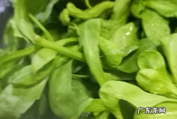 茼蒿菜怎么做好吃,茼蒿怎么做最好吃了