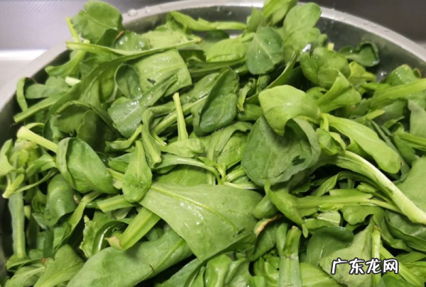 茼蒿菜怎么做好吃,茼蒿怎么做最好吃了