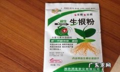 生根粉是什么成分,快速生根粉的作用和使用方法
