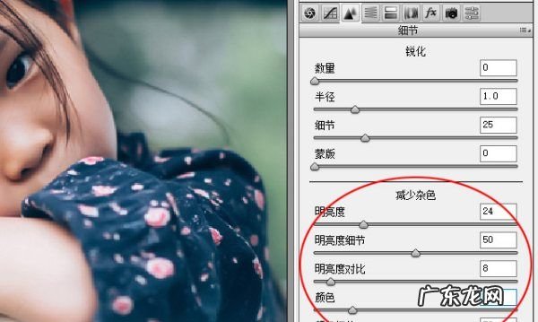 照片噪点多怎么处理,怎么进行降噪处理