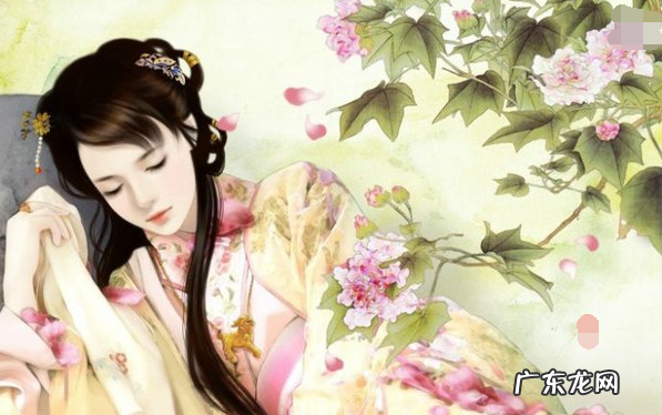 斯人是什么意思,伊人和佳人的区别是什么