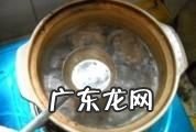 绿豆白鸽汤做法,乳鸽煲绿豆的做法大全