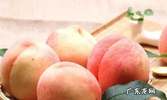 桃子要放冰箱,桃子需要放冰箱保存