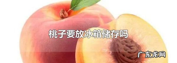 桃子要放冰箱,桃子需要放冰箱保存