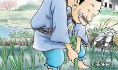揠苗助长和拔苗助长有什么区别,拔苗助长和揠苗助长哪个正确