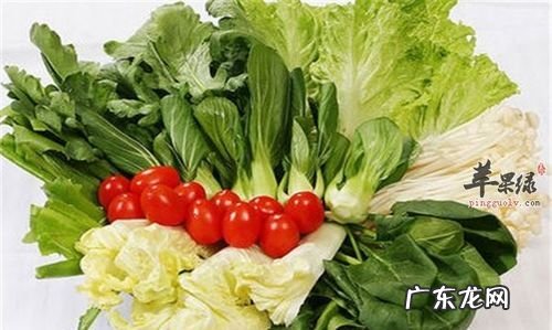 含钙的食品和蔬菜有哪些,含钙多的食物有哪些
