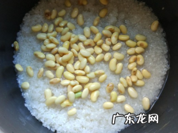 黄豆泡多久可以煮,泡过的豆子要煮多久才可以打豆浆