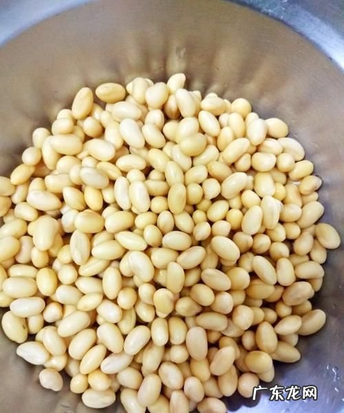 黄豆泡多久可以煮,泡过的豆子要煮多久才可以打豆浆