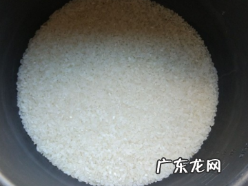 黄豆泡多久可以煮,泡过的豆子要煮多久才可以打豆浆