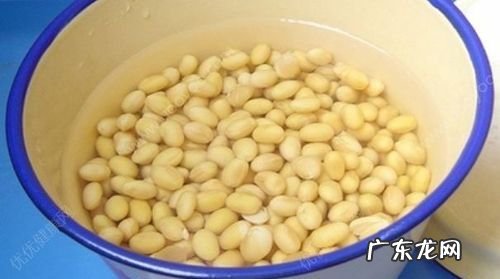 黄豆泡多久可以煮,泡过的豆子要煮多久才可以打豆浆