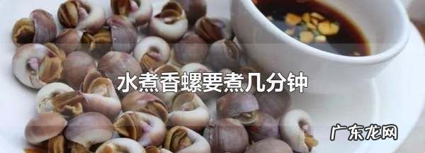 香螺的做法煮多久,小香螺煮几分钟能熟