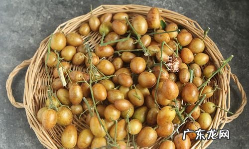 黄皮果怎样长久保鲜,黄皮可以放冰箱冷藏保存