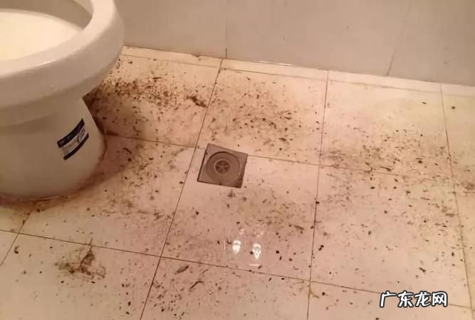 下水道有蟑螂怎么处理,蟑螂从卫生间下水道爬上来怎么办