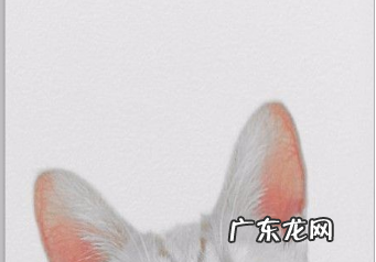 如何保留一部分颜色,如何用ps保留部分色彩