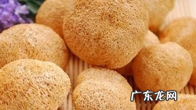 怎么炒猴头菇,怎样炒猴头菇好吃