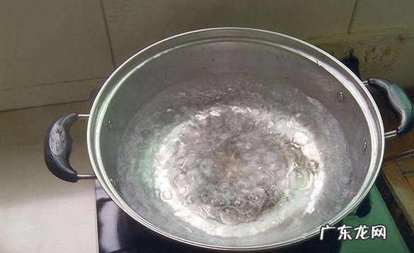 海底椰雪梨菊花膏做法,雪梨冰粉怎么煮好吃