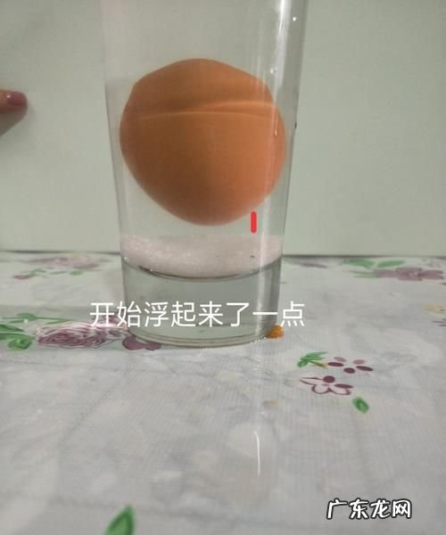鸡蛋放到盐水里面会漂浮什么原理,鸡蛋放入盐水里浮起来的原理作文