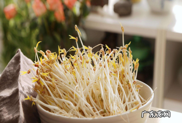 怎么炒豆芽好吃,小豆芽怎么炒