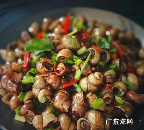 丝螺怎么炒的方法好吃,炒螺丝怎么炒