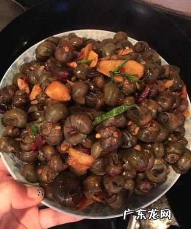 丝螺怎么炒的方法好吃,炒螺丝怎么炒