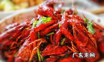 麻辣小龙虾怎么做,麻辣小龙虾怎么做