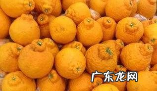 丑八怪怎么挑选,丑橘怎么挑选甜的