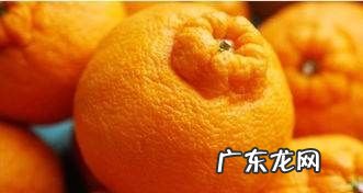 丑八怪怎么挑选,丑橘怎么挑选甜的