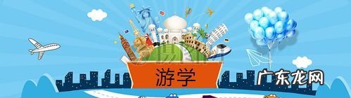 出国游学是什么意思,出国留学和出国上学的区别