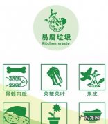 易腐垃圾指什么,垃圾分类的常识有哪些