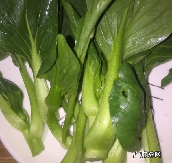 鸡蛋炒饭怎么炒好吃,蛋炒饭怎么做好吃又简单家庭版